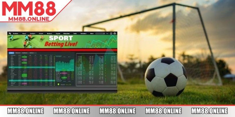 Khám phá tổng quan dễ hiểu và linh hoạt