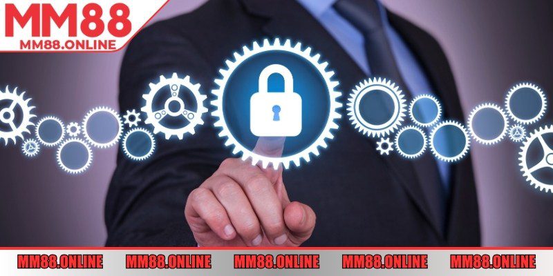 Thu thập dữ liệu chọn lọc, phục vụ xác thực và vận hành.
